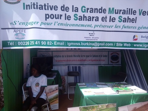 Foire de l’arbre à Tenkodogo :  Zoom sur  l’Initiative de la grande muraille verte pour le Sahara et le Sahel 